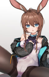 Rule 34 | 1girl, absurdres, amiya (arknights), animal ears, arknights, ascot, black jacket, black pantyhose, blue collar, blue eyes, breasts, brown hair, cameltoe, collar, fake animal ears, hair between eyes, hand on own chest, highres, hood, hooded jacket, jacket, jewelry, leotard, long hair, long sleeves, looking at viewer, mamong, medium breasts, open clothes, open jacket, pantyhose, playboy bunny, rabbit ears, ring, simple background, solo, strapless, strapless leotard, thighband pantyhose, white background, white leotard