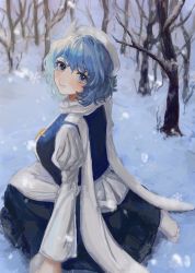 Rule 34 | 1girl, b nosk101, bare tree, blue eyes, blue hair, blue vest, blush, eyebrows hidden by hair, from above, hat, highres, juliet sleeves, letty whiterock, long sleeves, looking at viewer, looking back, outdoors, puffy sleeves, scarf, short hair, skirt, smile, snow, snowing, solo, touhou, tree, vest, white scarf, winter