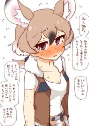 Rule 34 | 1girl, 370ml, animal ears, bad id, bad twitter id, blush, bomber jacket, brown eyes, brown vest, camouflage, camouflage pants, commentary request, embarrassed, extra ears, flying sweatdrops, fur collar, gambian rat (kemono friends), hair tie, highres, jacket, kemono friends, light brown hair, looking at viewer, mouse ears, mouse girl, multicolored hair, nose blush, pants, shirt, short hair, solo, sweatdrop, t-shirt, translation request, vest, white fur, white hair, white shirt