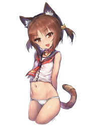 Rule 34 | 10s, 1girl, :d, animal ears, arms behind back, artist name, azuki (nekopara), bare arms, bare shoulders, bell, blue sailor collar, breasts, brown eyes, brown hair, buttons, cat ears, cat girl, cat hair ornament, cat tail, choker, cowboy shot, fang, fang out, gao (gaolukchup), groin, hair ornament, jingle bell, looking at viewer, navel, neck bell, neckerchief, nekopara, open mouth, panties, red choker, red neckerchief, sailor collar, shirt, short hair, simple background, skin fang, skirt, sleeveless, sleeveless shirt, small breasts, smile, solo, standing, stomach, striped tail, tail, two side up, underwear, white background, white panties, white shirt