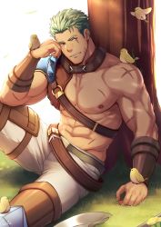 Rule 34 | 1boy, abs, absurdres, animal, animal on shoulder, asymmetrical clothes, bara, bare pectorals, bird, bird on hand, bird on shoulder, bracer, chest harness, chick, dieck (fire emblem), fire emblem, fire emblem: the blazing blade, fire emblem heroes, grass, green eyes, green hair, harness, highres, huge filesize, knee up, large pectorals, male focus, muscular, navel, nintendo, nipples, pants, pectorals, scar, scar across eye, scar on arm, scar on chest, scar on face, short hair, sitting, solo, stomach, thick thighs, thighs, tight clothes, tight pants, white pants, zifu