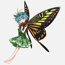 Rule 34 | 100th black market, 1girl, antennae, aqua hair, barefoot, butterfly wings, card, closed mouth, dress, eternity larva, fairy, full body, green dress, grey background, hair between eyes, highres, holding, holding card, insect wings, keiki8296, leaf, leaf on head, multicolored clothes, multicolored dress, short hair, short sleeves, simple background, smile, solo, touhou, wings, yellow eyes