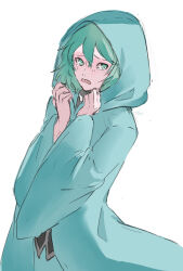 Rule 34 | 1other, androgynous, black shirt, blue coat, coat, commentary request, cowboy shot, green eyes, green hair, hair between eyes, hands up, highres, hood, hood up, hooded coat, len&#039;en, long sleeves, open mouth, other focus, shirt, shitodo aoji, short hair, simple background, sketch, solo, tearing up, white background, wide sleeves, yoni.