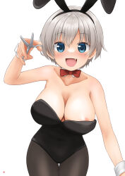Rule 34 | 1girl, absurdres, animal ears, areola slip, black leotard, blue eyes, blush, bow, bowtie, breasts, cleavage, collarbone, commission, covered navel, cowboy shot, detached collar, fake animal ears, fang, grey hair, hair between eyes, highres, large breasts, leaning forward, leotard, looking at viewer, nao suke, nipples, open mouth, pantyhose, playboy bunny, rabbit ears, red bow, red bowtie, scissors, short hair, simple background, skeb commission, smile, solo, strapless, strapless leotard, thigh gap, uzaki-chan wa asobitai!, uzaki hana, white background, wrist cuffs