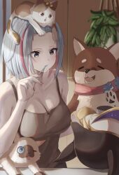 Rule 34 | 1girl, 3others, aqua eyes, armpit crease, bangs pinned back, bare shoulders, breasts, brown tank top, brushing teeth, cat, cleavage, clothes lift, commentary request, highres, holding, holding toothbrush, honkai: star rail, honkai (series), hotmilk ina mug, indoors, large breasts, looking at another, multicolored hair, multiple others, nail polish, numby (honkai: star rail), pink hair, pink nails, plant, potted plant, shirt lift, short hair, sidelocks, streaked hair, stuffed animal, stuffed toy, tank top, toothbrush, toothbrush in mouth, topaz (honkai: star rail), trotter (honkai: star rail), white hair