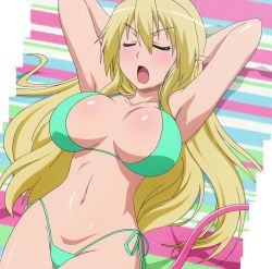 Rule 34 | 1girl, angry, armpits, bikini, blonde hair, blush, breasts, cleavage, closed eyes, fang, female focus, highres, large breasts, lotte no omocha!, lying, mercelida ygvar, navel, open mouth, panties, pink tail, pointy ears, screencap, side-tie bikini bottom, solo, stitched, swimsuit, tail, third-party edit, thong, underwear
