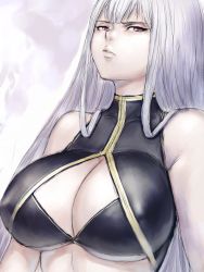 Rule 34 | 00s, 1girl, bare shoulders, breasts, cleavage, cleavage cutout, clothing cutout, frown, fumio (rsqkr), huge breasts, large breasts, lips, long hair, red eyes, selvaria bles, senjou no valkyria, senjou no valkyria (series), senjou no valkyria 1, silver hair, solo, underboob, upper body