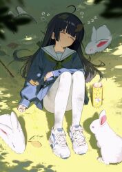 Rule 34 | 1girl, ahoge, animal, animal ears, black hair, blue archive, blue serafuku, blue shirt, blue skirt, blunt bangs, blurry, blurry foreground, closed eyes, commentary, cross-laced footwear, dappled sunlight, day, dirty, dirty clothes, fake animal ears, grass, green neckerchief, highres, knees up, leaf, leaf on head, light blush, long hair, long sleeves, looking at viewer, lying, miyu (blue archive), neckerchief, on back, outdoors, pantyhose, parted lips, pleated skirt, rabbit, rabbit ears, ryuuforkaf, sailor collar, school uniform, serafuku, shade, shadow, shirt, shoes, skirt, sleeping, sleeves past wrists, sneakers, solo, squeans, stick, sunlight, symbol-only commentary, teeth, white footwear, white pantyhose, white sailor collar, zzz