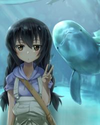 Rule 34 | 10s, 1girl, alternate hairstyle, ankoku kishi m, aquarium, bag, black hair, blue shirt, braid, brown eyes, carrying, casual, commentary request, dolphin, girls und panzer, handbag, hood, hoodie, long hair, looking at viewer, no hairband, overalls, parted lips, reizei mako, shirt, short sleeves, solo, standing, twin braids, upper body, v