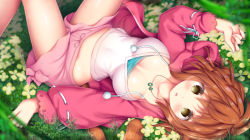 Rule 34 | 1girl, :o, bad id, bad pixiv id, blush, breasts, brown eyes, brown hair, collarbone, crop top, drawstring, feet out of frame, flower, hair between eyes, hand up, jacket, knees up, long sleeves, looking at viewer, lying, medium breasts, midriff, murano, on back, on grass, open clothes, open jacket, original, parted lips, pink shorts, puffy long sleeves, puffy sleeves, red jacket, shirt, short shorts, shorts, solo, striped tail, tail, tail raised, white shirt, yellow flower