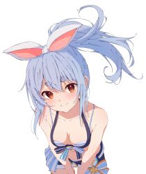Rule 34 | 1girl, absurdres, bare arms, bikini, bikini under clothes, blue hair, blue shorts, blush, bow, breasts, brown eyes, cleavage, closed mouth, collarbone, cowboy shot, floating hair, hair between eyes, hair bow, halterneck, highres, hololive, leaning forward, looking at viewer, maccaron61, micro shorts, ponytail, short hair, shorts, small breasts, smile, solo, standing, swimsuit, transparent background, usada pekora, virtual youtuber, white bow