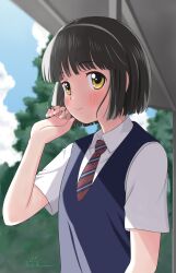 Rule 34 | 1girl, absurdres, black hair, blush, closed mouth, cloud, day, hand on own face, highres, koguma (super cub), looking at viewer, maisama, medium hair, necktie, outdoors, sky, smile, solo, super cub, tree, uniform, yellow eyes