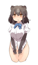 Rule 34 | 10s, 1girl, animal ears, apupuru, bear ears, black hair, blush, bottomless, brown bear (kemono friends), brown eyes, chestnut mouth, covering privates, covering crotch, cropped legs, elbow gloves, embarrassed, fingerless gloves, gloves, gluteal fold, grey hair, hair between eyes, highres, kemono friends, looking at viewer, multicolored hair, naked shirt, open mouth, shirt, shirt tug, short hair, simple background, solo, standing, thigh gap, upper body, white background, white shirt