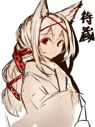 Rule 34 | 1girl, absurdres, animal ears, closed mouth, fox ears, fox girl, hair between eyes, hair ribbon, hands in opposite sleeves, highres, japanese clothes, kimono, long hair, original, red eyes, red ribbon, ribbon, silver hair, sketch, smile, solo, suspenders, translation request, very long hair, white background, white kimono, yuuji (yukimimi)