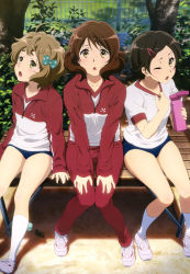 Rule 34 | 10s, absurdres, chestnut mouth, cleaned, collar tug, hibike! euphonium, highres, official art, outdoors, parted bangs, sitting, socks, tagme, wavy hair