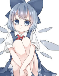 Rule 34 | 1girl, :|, blue bow, blue dress, blue eyes, blue hair, bow, bowtie, cirno, closed mouth, collared shirt, detached wings, dress, feet out of frame, hair bow, head tilt, hugging own legs, looking at viewer, medium hair, miyangoroge, pinafore dress, red bow, red bowtie, shirt, sleeveless, sleeveless dress, solo, touhou, white background, white shirt, wings
