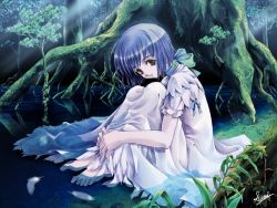 Rule 34 | 1girl, barefoot, blue hair, brown eyes, dress, feathers, feet, forest, hugging own legs, nature, partially submerged, ribbon, sitting, solo, sumi keiichi, tree, water, white dress