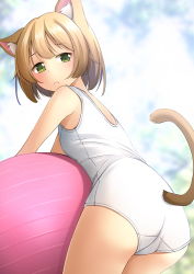 Rule 34 | 1girl, animal ears, ass, ball, blue sky, cat ears, cat tail, cloud, exercise ball, from behind, green eyes, highres, light brown hair, looking at viewer, looking back, old school swimsuit, one-piece swimsuit, original, school swimsuit, shibacha, short hair, sky, solo, swimsuit, tail, white one-piece swimsuit