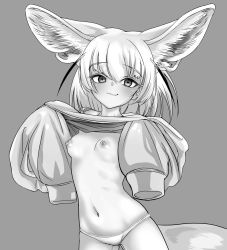 Rule 34 | 1girl, absurdres, akegata tobari, animal ear fluff, animal ears, breasts, closed mouth, clothes lift, cowboy shot, extra ears, fennec (kemono friends), flashing, fox ears, fox girl, fox tail, grey background, greyscale, highres, kemono friends, lifting own clothes, long sleeves, looking at viewer, medium hair, monochrome, multicolored hair, nipples, no bra, no pants, oversized clothes, panties, petite, simple background, sleeves past wrists, small breasts, smirk, smug, solo, sweater, sweater lift, tail, underwear