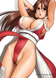 Rule 34 | 1girl, areola slip, armpits, arms up, breasts, brown eyes, brown hair, cameltoe, capcom, cleavage, covered erect nipples, fatal fury, female pubic hair, highleg, highleg panties, hip bones, large breasts, long hair, nipple slip, nipples, no bra, panties, pelvic curtain, pubic hair, revealing clothes, saigado, shiranui mai, snk, solo, sweat, the king of fighters, thighs, underwear, wedgie