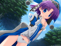 Rule 34 | 1girl, blue eyes, bow, bow panties, clothes lift, day, dutch angle, fomarl, forest, hat, long sleeves, looking at viewer, nature, nya maru, outdoors, panties, phantasy star, phantasy star online, puffy sleeves, purple hair, short hair, skirt, skirt lift, solo, underwear, white panties, wide sleeves, aged down