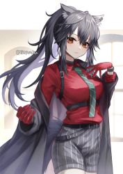 Rule 34 | 1girl, 8931ponzu, animal ear fluff, animal ears, arknights, artist name, belt buckle, black coat, black hair, black shorts, breasts, buckle, closed mouth, coat, collared shirt, cowboy shot, gloves, green necktie, hand on own chest, indoors, large breasts, long hair, long sleeves, looking at viewer, necktie, off shoulder, official alternate costume, open clothes, open coat, outside border, ponytail, red eyes, red gloves, red shirt, shirt, shorts, sidelocks, solo, striped clothes, striped shorts, tail, texas (arknights), texas (willpower) (arknights), vertical-striped clothes, vertical-striped shorts, window, wolf ears, wolf girl, wolf tail, wristband