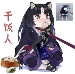 Rule 34 | 1girl, absurdres, animal, animal ears, arknights, beads, black hair, blush, brown eyes, collar, dog, dumpling, facial mark, fingerless gloves, food, food in mouth, gem, gloves, highres, holding, knee pads, lan xiezi, leash, leash pull, long hair, long sleeves, mouth hold, photo-referenced, photo inset, prayer beads, purple gloves, red collar, reference photo, saga (arknights), signature, simple background, sitting, solo, translation request, viewer holding leash, white background, wide sleeves
