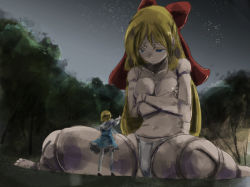 Rule 34 | 2girls, alice margatroid, alternate height, blonde hair, blue dress, blue eyes, bow, breasts, capelet, closed mouth, colored eyelashes, covering privates, covering breasts, dark, doll, doll joints, dress, frown, giant, giantess, goliath doll, hair bow, joints, long hair, multiple girls, night, nude, outdoors, panties, sitting, size difference, sky, star (sky), topless, touhou, tree, underwear, wariza, yohane