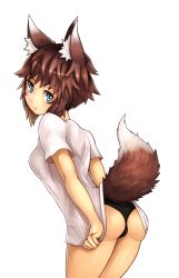 Rule 34 | 1girl, animal ears, ass, blue eyes, brown hair, fox ears, fox tail, nosuku, original, panties, shirt, short hair, solo, t-shirt, tail, underwear
