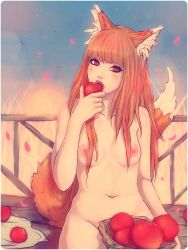 Rule 34 | 1girl, animal ears, apple, breasts, brown hair, eating, female focus, food, fruit, holo, long hair, navel, nipples, nude, red eyes, small breasts, solo, soranamae, spice and wolf, wolf ears