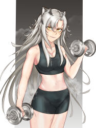 Rule 34 | 1girl, absurdres, alternate costume, animal ears, arknights, bare arms, bare shoulders, bike shorts, black shorts, breasts, commentary request, cowboy shot, crop top, dumbbell, grey hair, hair between eyes, highres, holding, indra (arknights), long hair, looking at viewer, medium breasts, midriff, navel, scar, scar on face, scar on nose, short shorts, shorts, smile, solo, sports bra, standing, stomach, thighs, tiger ears, very long hair, watakon (owatakon47), yellow eyes
