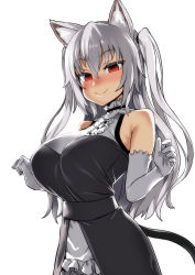 Rule 34 | 1girl, @ @, animal ear fluff, animal ears, asanagi, bare shoulders, black dress, blush, breasts, cat ears, cat tail, closed mouth, collar, commentary request, dress, elbow gloves, frilled collar, frills, full-face blush, gloves, hair between eyes, highres, large breasts, long hair, looking at viewer, nora cat, nora cat channel, red eyes, silver hair, simple background, sleeveless, sleeveless dress, smile, solo, tail, twintails, two side up, upper body, virtual youtuber, white background, white gloves
