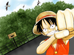 Rule 34 | 1boy, bird, black hair, clenched hand, hat, highres, looking at viewer, male focus, monkey d. luffy, one piece, outdoors, scar, scenery, seagull, sign, sky, solo, straw hat, tree