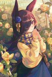 Rule 34 | 1girl, blue flower, blue scarf, blue skirt, brown hair, cowboy shot, dated, flower, hair flower, hair ornament, hair over one eye, highres, horse girl, long hair, looking at viewer, one eye covered, own hands together, plaid, plaid scarf, rice shower (umamusume), scarf, signature, skirt, solo, sweater, two-tone scarf, umamusume, y kuroki, yellow flower, yellow scarf, yellow sweater