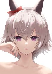 Rule 34 | 1girl, animal ears, bare shoulders, bow, collarbone, curren chan (umamusume), ear bow, female focus, grey hair, hairband, hand on own cheek, hand on own face, hand up, highres, horse ears, hoshinopurin, lips, looking at viewer, parted lips, portrait, purple eyes, red bow, short hair, simple background, solo, umamusume