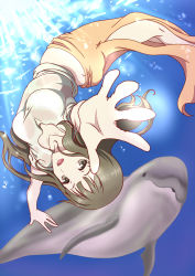 Rule 34 | 10s, 1girl, bra, breasts, brown eyes, brown hair, butt crack, dolphin, freediving, hanasaku iroha, highres, long hair, open mouth, oshimizu nako, outstretched arms, rei x mako, reimaco, see-through, smile, solo, spread arms, swimming, underwater, underwear, upside-down, water, wet