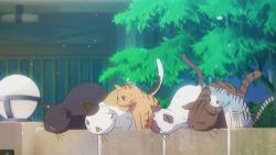 Rule 34 | 10s, animated, animated gif, cat, lowres, no humans, sakura-sou no pet na kanojo, screencap, too many, too many cats