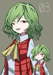 Rule 34 | 1girl, absurdres, breasts, collared shirt, green background, green hair, highres, kazami yuuka, long sleeves, looking at viewer, medium breasts, medium hair, mini person, minigirl, mizoreshi, neckerchief, numbered, open clothes, open mouth, open vest, plaid, plaid vest, red eyes, red vest, shirt, simple background, teeth, tongue, touhou, vest, wavy hair, white shirt, yellow neckerchief