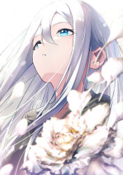 Rule 34 | 1girl, absurdres, blue eyes, blurry, commentary, depth of field, dress, falling petals, flower, grey dress, hair between eyes, harii (janib5kc), highres, hooded dress, light particles, long hair, looking up, parted lips, petals, project sekai, sidelocks, simple background, solo, white background, white flower, yoisaki kanade