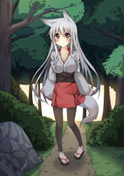 Rule 34 | 1girl, animal ears, bad id, bad pixiv id, clog sandals, forest, fox ears, fox tail, highres, japanese clothes, miko, nature, original, oruto (ort+), oruton, pantyhose, pigeon-toed, red eyes, rock, sandals, shi-chan (oruton), solo, tabi, tail, tree, white hair, zouri