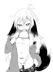 Rule 34 | 1girl, animal ears, bad id, bad twitter id, blush, bra, clothes pull, commentary request, dog ears, dog tail, fang, greyscale, highres, inactive account, konachiu, long hair, monochrome, open mouth, original, panties, pants, pants pull, rei-chan (konachiu), sweat, tail, tears, underwear, undressing