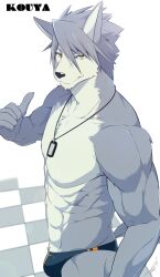 Rule 34 | 1boy, abs, animal ears, bara, black male swimwear, character name, checkered floor, claws, commentary request, dog boy, dog ears, dog tail, furry, furry male, highres, ig1119, jewelry, kouya aotsuki, looking at viewer, male focus, male swimwear, morenatsu, muscular, muscular male, necklace, pectorals, pointing with thumb, signature, tail, topless male, white background, yellow eyes