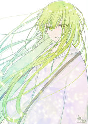 Rule 34 | 1other, androgynous, enkidu (fate), fate/strange fake, fate (series), green eyes, green hair, hair between eyes, highres, hood, hood down, hooded robe, long hair, looking at viewer, parted lips, robe, signature, simple background, sofra, solo, upper body, very long hair, white background, white robe