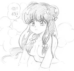 Rule 34 | 1girl, artist request, bath, bell, breasts, double bun, large breasts, long hair, monochrome, nude, ranma 1/2, shampoo (ranma 1/2), text focus, translation request