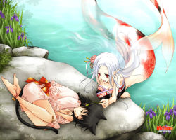 Rule 34 | animal ears, bandages, bell, black hair, cat ears, cat tail, cat teaser, cattail, flower, iris (flower), japanese clothes, kimono, koi, mermaid, michao, monster girl, open mouth, plant, pointy ears, pond, red eyes, rose, sleeping, tagme, tail, water, white hair