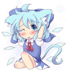 Rule 34 | 1girl, animal ears, blue dress, blue eyes, blue hair, blush, bow, cat ears, cat tail, chibi, cirno, dress, female focus, hair bow, hands on own head, kemonomimi mode, lozelia, matching hair/eyes, one eye closed, open mouth, sitting, solo, tail, tears, touhou, wings, wink