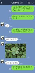 Rule 34 | 10s, 1girl, chat log, clover, eyepatch, four-leaf clover, green hair, hat, highres, kantai collection, kiso (kancolle), kiso kai ni (kancolle), kuma (kuma1 kancolle), line (naver), fake phone screenshot, plant, smile, solo, translation request
