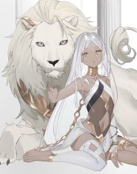 Rule 34 | 1girl, chain, clothing cutout, commentary, dark-skinned female, dark skin, elbow gloves, feet, flat chest, gloves, gold trim, gradient hair, grey hair, hair between eyes, hair ornament, half gloves, halterneck, hands up, highres, kaoruko (unkrk55), lion, long hair, looking at viewer, masterwork apocalypse, midriff, multicolored hair, navel, navel cutout, parted bangs, parted lips, phoebe (masterwork apocalypse), pillar, single elbow glove, single half glove, sitting, solo, very long hair, white background, white gloves, white legwear, x hair ornament, yellow eyes, yokozuwari