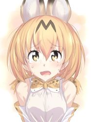 Rule 34 | 10s, 1girl, animal ears, bad id, bad twitter id, bare shoulders, blonde hair, blush, bow, bowtie, breasts, crying, crying with eyes open, elbow gloves, gloves, kemono friends, looking at viewer, medium breasts, open mouth, serval (kemono friends), shirt, sleeveless, sleeveless shirt, solo, tears, ulrich (tagaragakuin), white shirt, yellow eyes