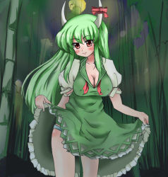 Rule 34 | 1girl, blush, bow, breasts, cleavage, clothes lift, covered erect nipples, dress, ex-keine, female focus, forest, green hair, horn ornament, horn ribbon, horns, kamishirasawa keine, large breasts, long hair, mito (mitochondria), mito (pixiv), nature, no bra, outdoors, panties, plant, red eyes, ribbon, shirt lift, sky, solo, touhou, underwear